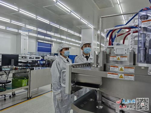 助力制造企业迅速投产达产 南昌打造全球先进芯片生产线，引领技术服务新标杆