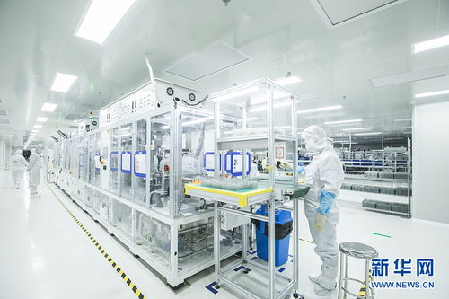 聚焦高质量发展 | 芯光灿烂，点亮黄石老工业基地转型之路